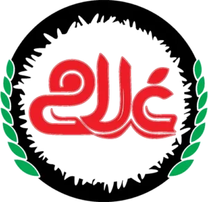 logo-finaااl